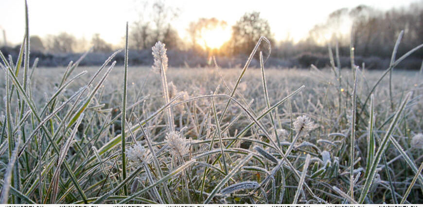 Сильный ветер и заморозки ожидаются 27 апреля в Беларуси