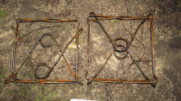 Добыл бобров с помощью капканов. В Речице суд вынес приговор охотнику