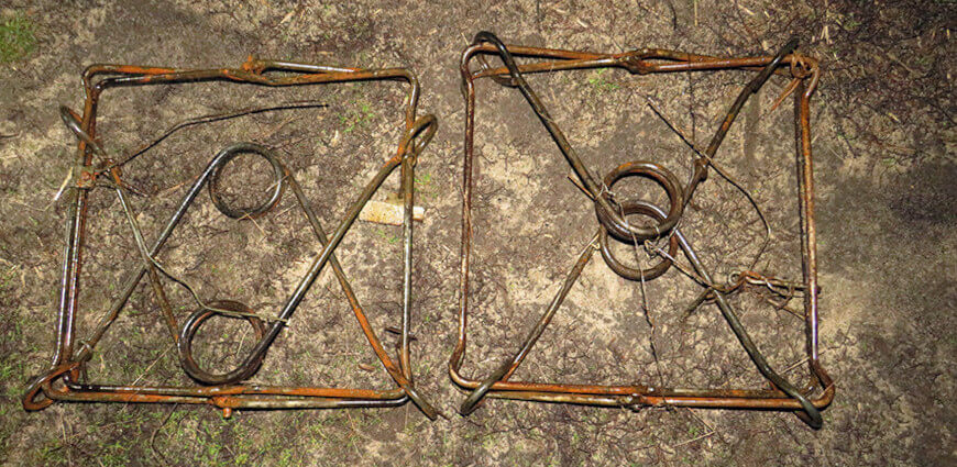 Добыл бобров с помощью капканов. В Речице суд вынес приговор охотнику