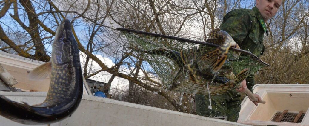 Новый закон в сфере рыболовства появится в Беларуси