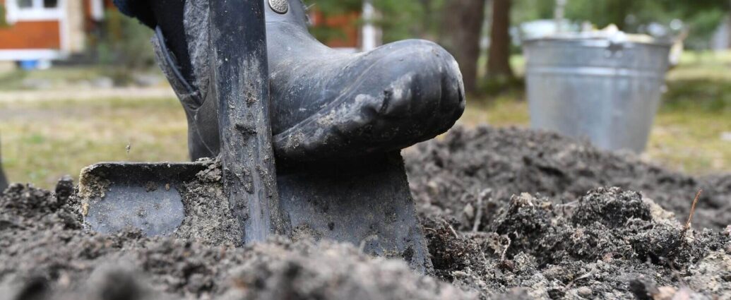 Белорусы могут проверить сельхозпродукцию на наличие радионуклидов онлайн