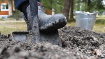 Белорусы могут проверить сельхозпродукцию на наличие радионуклидов онлайн