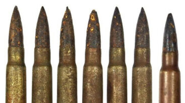 Житель Речицкого района нашел на своем приусадебном участке патроны времен Великой Отечественной войны