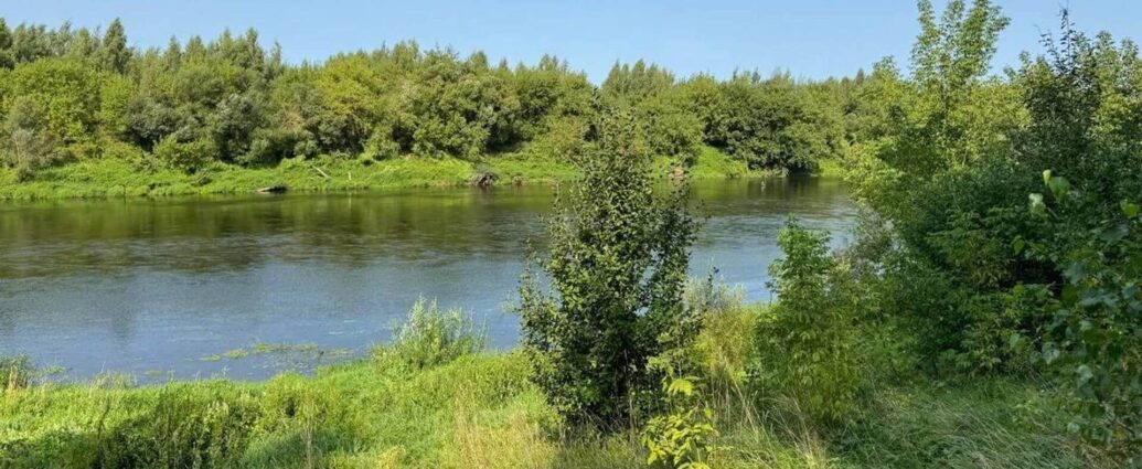 Ограничения на посещение лесов введены в 46 районах Беларуси