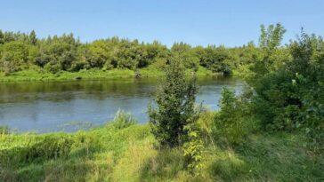 Ограничения на посещение лесов введены в 46 районах Беларуси