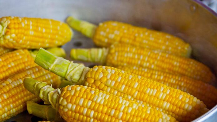 Больше не черника: другой продукт оказался полезнее для зрения