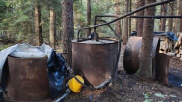 Подпольный мини-завод по производству самогона ликвидировали в лесу