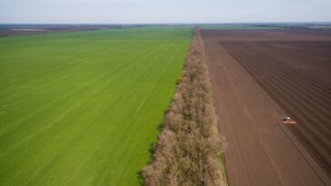 Участки в пяти районах Гомельщины перестали быть „чернобыльскими“